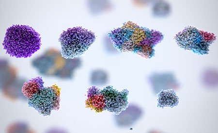 TheCrick's tweet photo. A @CR_UK funded study reveals there are 3 distinct types of kidney cancer: some that are 'born to be bad', others that never become aggressive, and some in between. Knowing which type of cancer a patient has could one day lead to personalised treatment. https://t.co/QYhZQ4818g https://t.co/zp7eTyuwbT