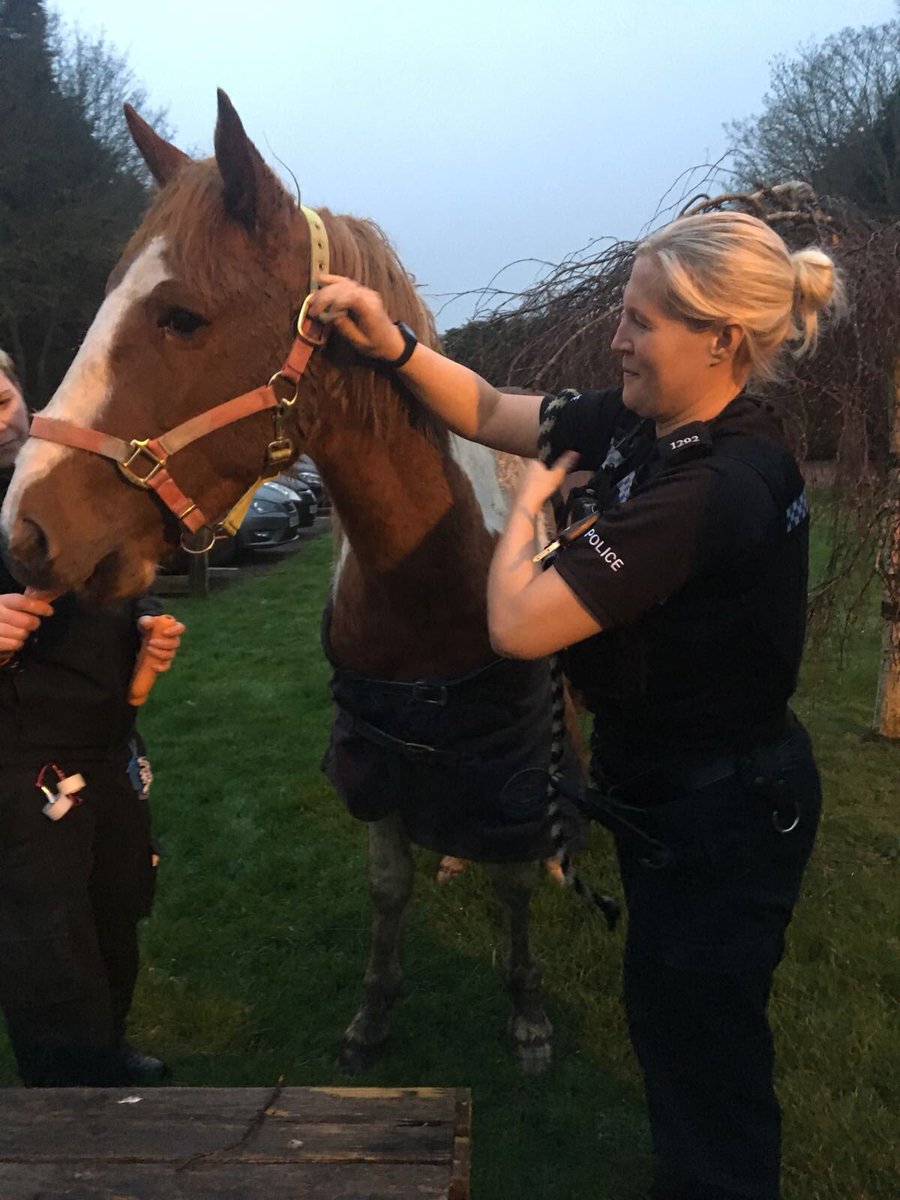 TVP Buckinghamshire tweet media