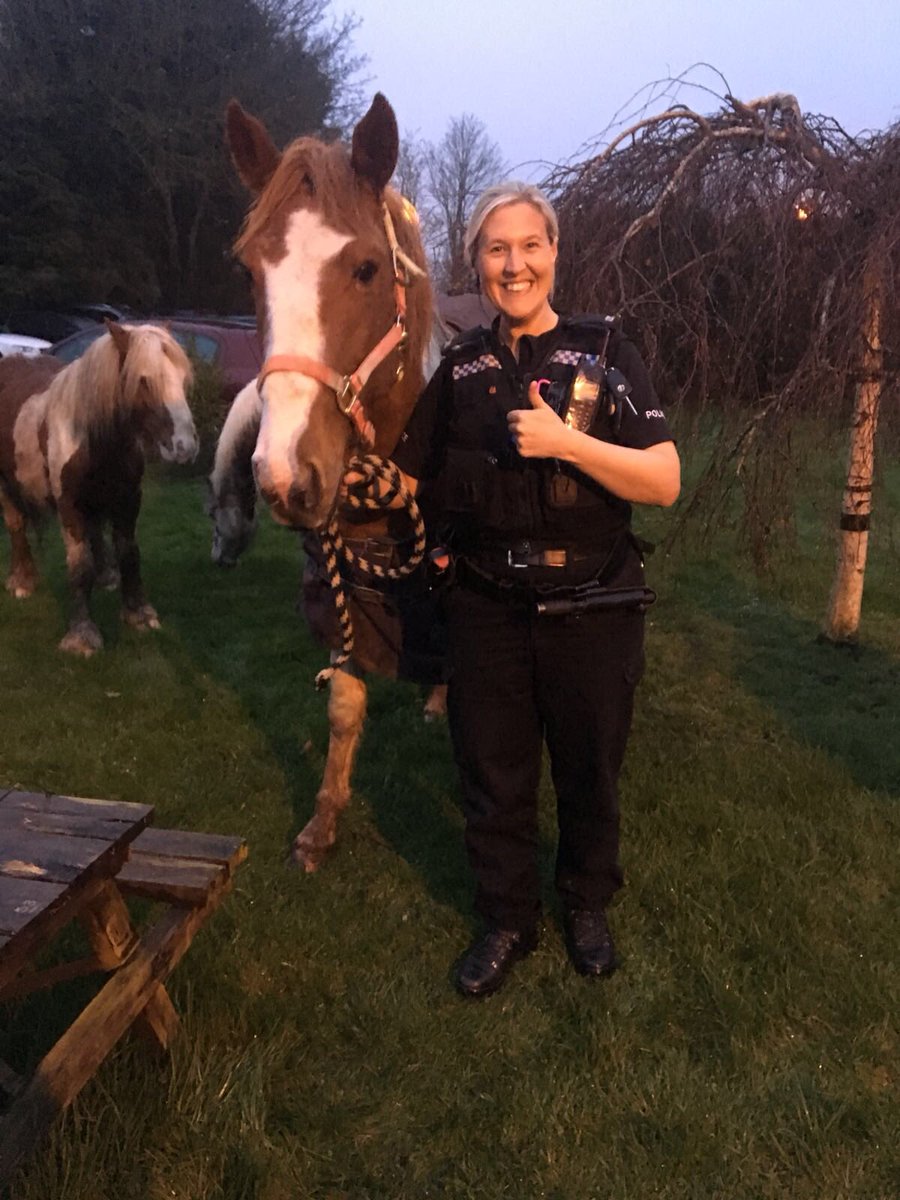 TVP Buckinghamshire tweet media