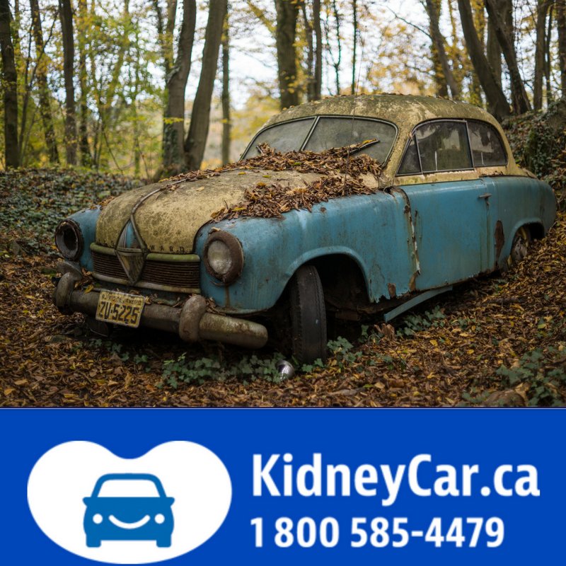 How To Donate Your Car To The Kidney Foundation