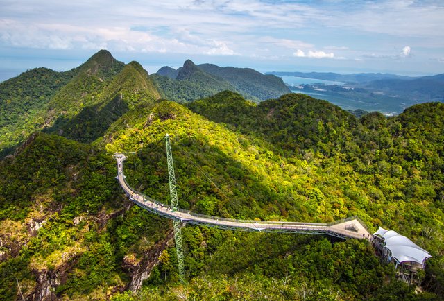 Arch Journal tweet media