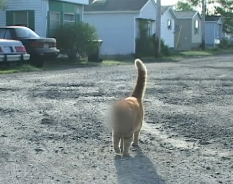 Protecting the innocent  kitties. From Season 3
Happy Birthday John Dunsworth. RIP 