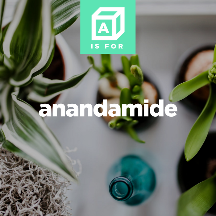 hellogramsly's tweet photo. Anandamide is a derivative of arachidonic acid that occurs naturally in the brain (as well as some foods) and acts as a messenger molecule, playing roles in appetite, depression, memory, and fertility; one of the two known endocannabinoids. #hellogramsly #ABCsofCBD #CBD #CBDoil https://t.co/mYEoN6UCJd