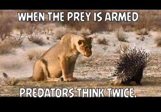 The tables have quickly turned! Who agrees? #gunmemes #shooter #guns #gunclub #firearm #ammo #gunsandammo #sandiego #memes #ammodeals #ammostore