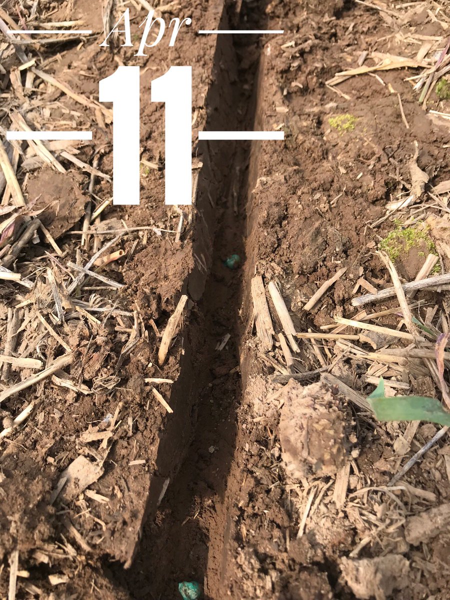 KentuckyCrops's tweet photo. The difference in one day! Getting on a field one day too soon causes the most compaction. Thanks to @jepsonfarms1806 #plant18 #plant2018 #kygrains https://t.co/cPm8UkUI2R