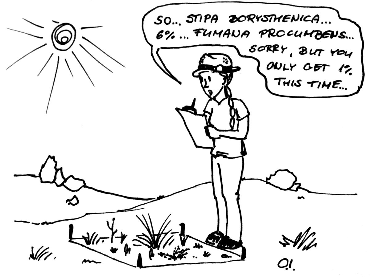 First sunny field day this year! :) I got a bit of a suntan and I realized that it must look weird when I am recording vegetation plots alone... :-o (Anyone else talking to their plants while recording cover estimates? :D) #phdlife #fieldwork