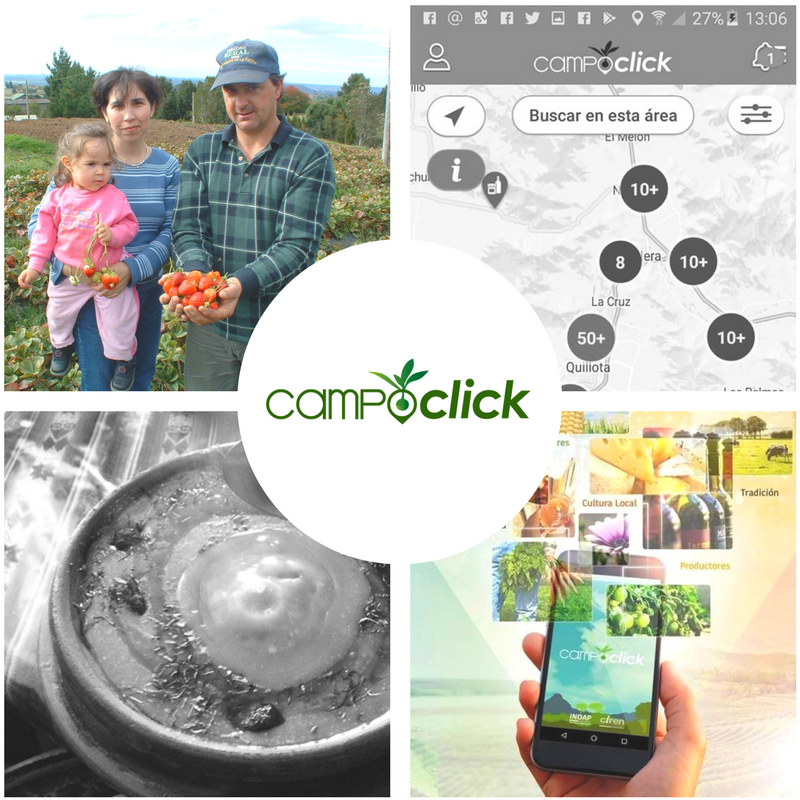CIREN_CHILE's tweet photo. La app @Campoclick es una vitrina virtual y georreferenciada que entrega la posibilidad de buscar, contactar, y llegar al productor más cercano al lugar donde te encuentras!! Puedes conocer más en: https://t.co/mQJZjIKRQP https://t.co/tJTae5b0lS