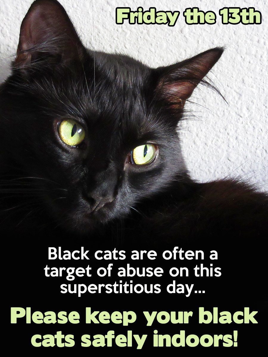 ColeTheBlackCat's tweet photo. It's Friday the 13th tomorrow, purrlease be sure to keep you fur kids SAFE! ❤️
#FridayThe13th #BlackCats #coleandmarmalade https://t.co/eoOt9GCFip
