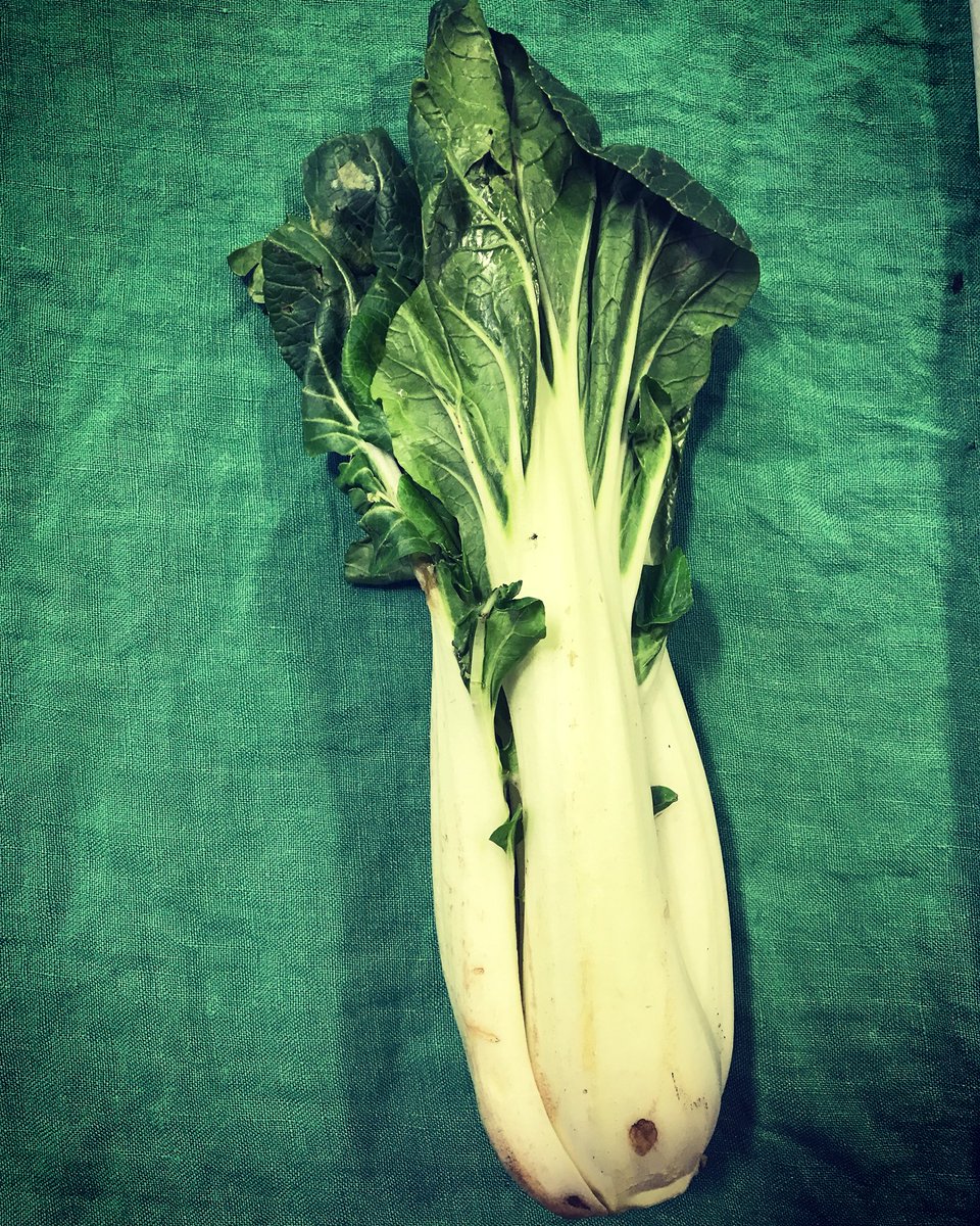 psgcooporg's tweet photo. Beautiful #bokchoy from @chickadeecreekfarm Such a joy to have our local farmer Monica to present at the bok choy tasting today! #foodeducation #kids #healthyfood #eatyourveggies #culinarykids #GSOYP #princeton https://t.co/3CedCuemxU