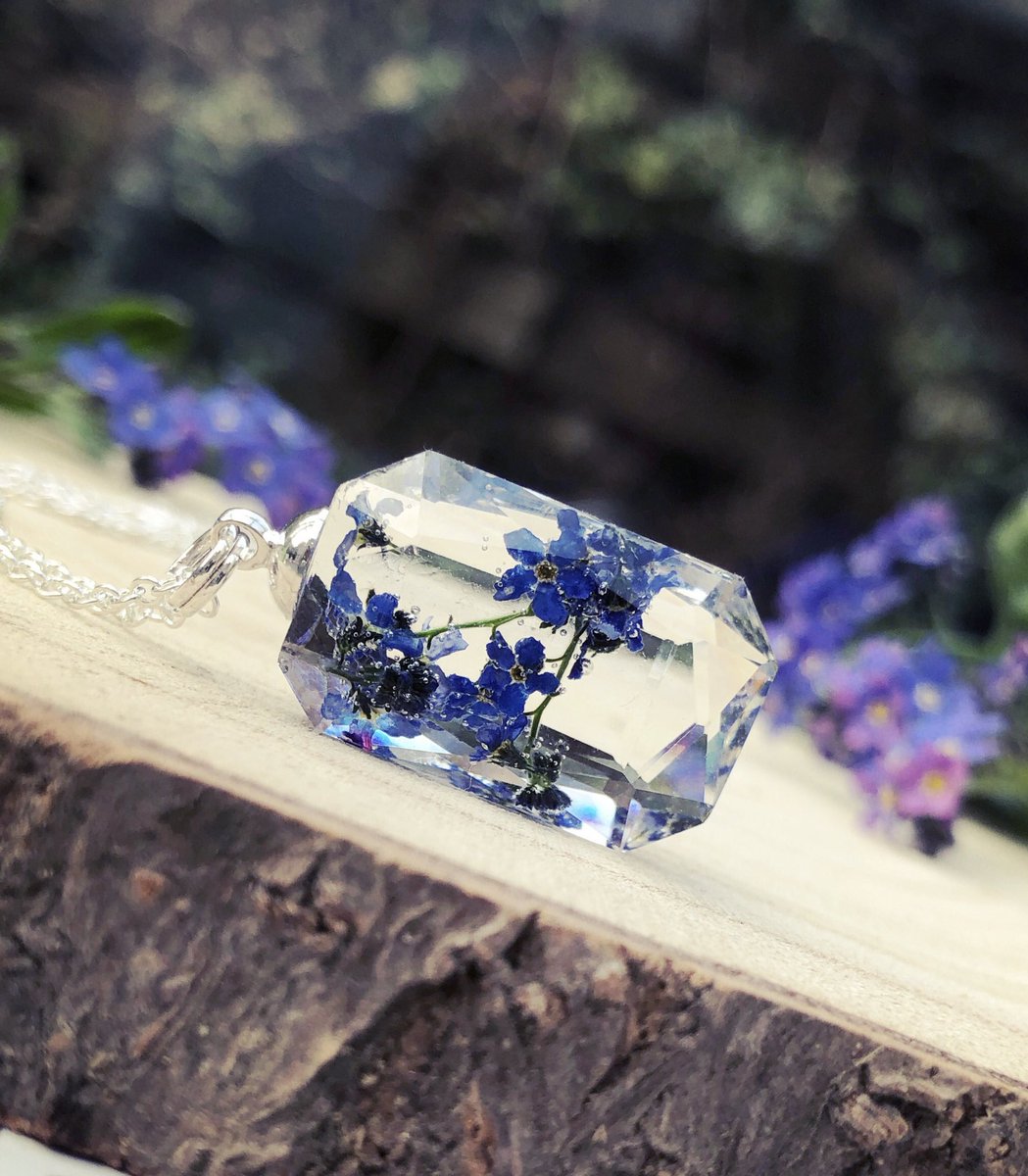 DevonsentX's tweet photo. Forget me nots represent true love and strong connections 💕 #forgetmenot #flowers #necklace #realflowerjewellery #handmade #true #love #devon https://t.co/zvsvkQ7GX6 https://t.co/aSta1gIPdv