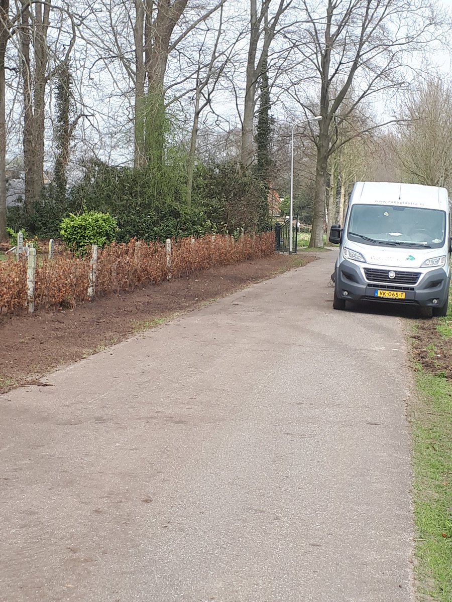 Alle oude coniferenhagen rondom begraafplaats #willemsoord gerooid. Vervolgens nieuwe beukenhagen geplant. 200 jaar #maatschapijvanweldadigheid