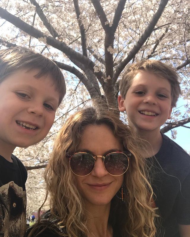 susannashetley's tweet photo. Cherry blossom views. #dc #inthespring #travel #fun https://t.co/wCVJzviyRk https://t.co/lryt2VyA81