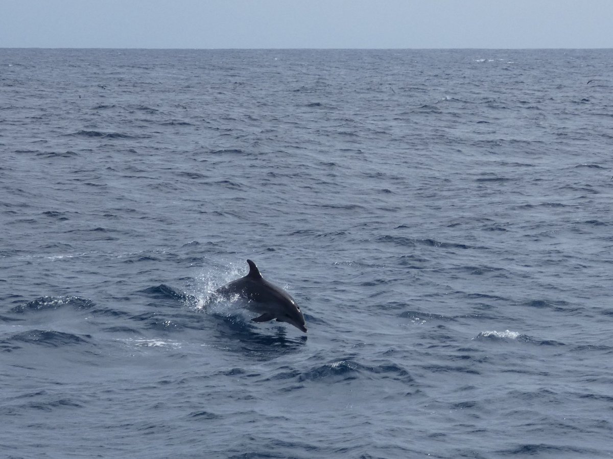 Blake Spady tweet media