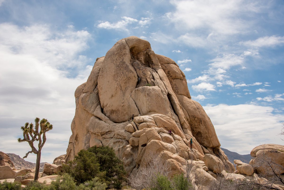 NPS/Lian Law: Large granitic rock hill surrounded by vegetation. Climbers are seen on the rock.
