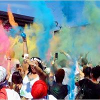 Festival of Colors tweet media