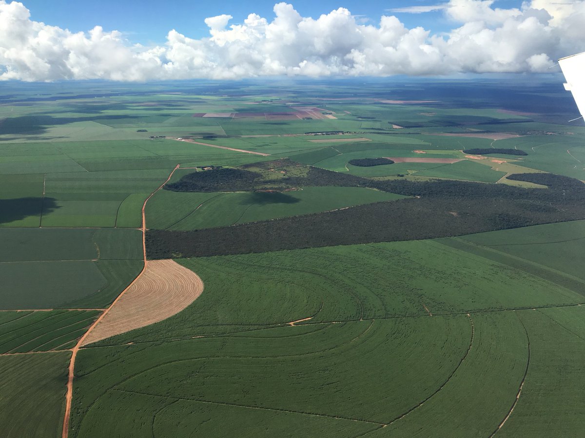ZanattaAgReport's tweet photo. Dia de conversa produtiva sobre #política e #economia no #agro em #MatoGrosso. #ParecisSuperagro, em Campo Novo, lugar das maiores áreas de produção de #soja, #milho e #pecuária do Brasil Canal Rural Produções #agro #MT #infra #palestra https://t.co/HEi9Rcwz26