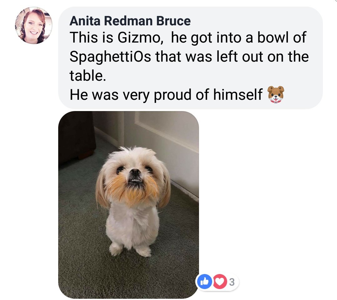 Pinot's Palette BA tweet media