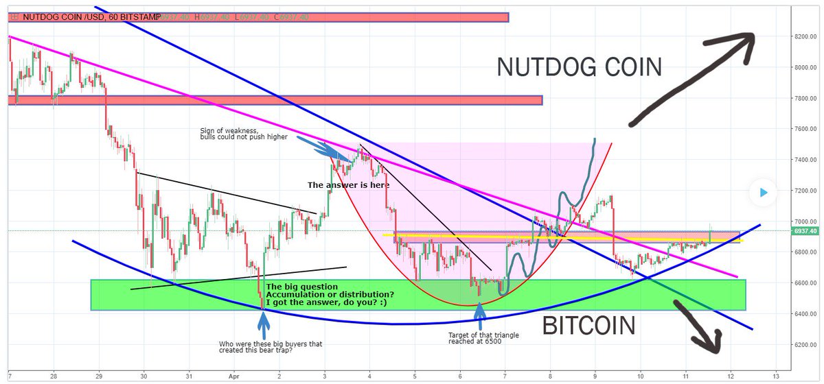 VampyTrout's tweet photo. @TOPBIZZY @officialmcafee @TravasResearch and my financial advisor @tiger_locc all agree it would be fiscally irresponsible not to invest in nutdog coin https://t.co/jBC07nKSAT