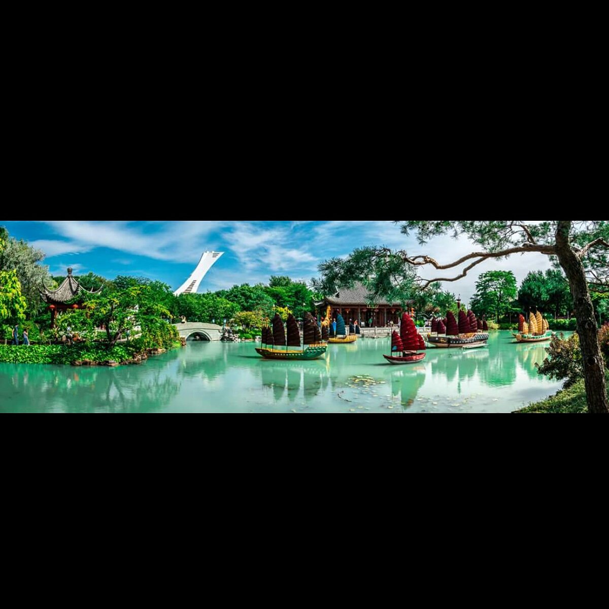 CanadaReloc's tweet image. An Amazing Photo of Montreal's Botanical Garden by Andre Vandal.
flickr.com/photos/avdezig…