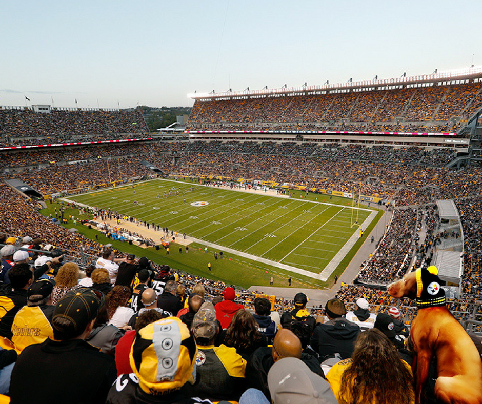 lynnietoth's tweet photo. Happy #412Day from #Vizsla #dog #Marco high atop one of his favorite places in the #412area Anyone else missing #Steelers #football season?/! #HeinzField needs #SteelersNation #PupNights #HereWeGo @_BigBen7 @dogcelebration #dogsoftwitter @DogsofInstagram https://t.co/3WhwMkZbOw