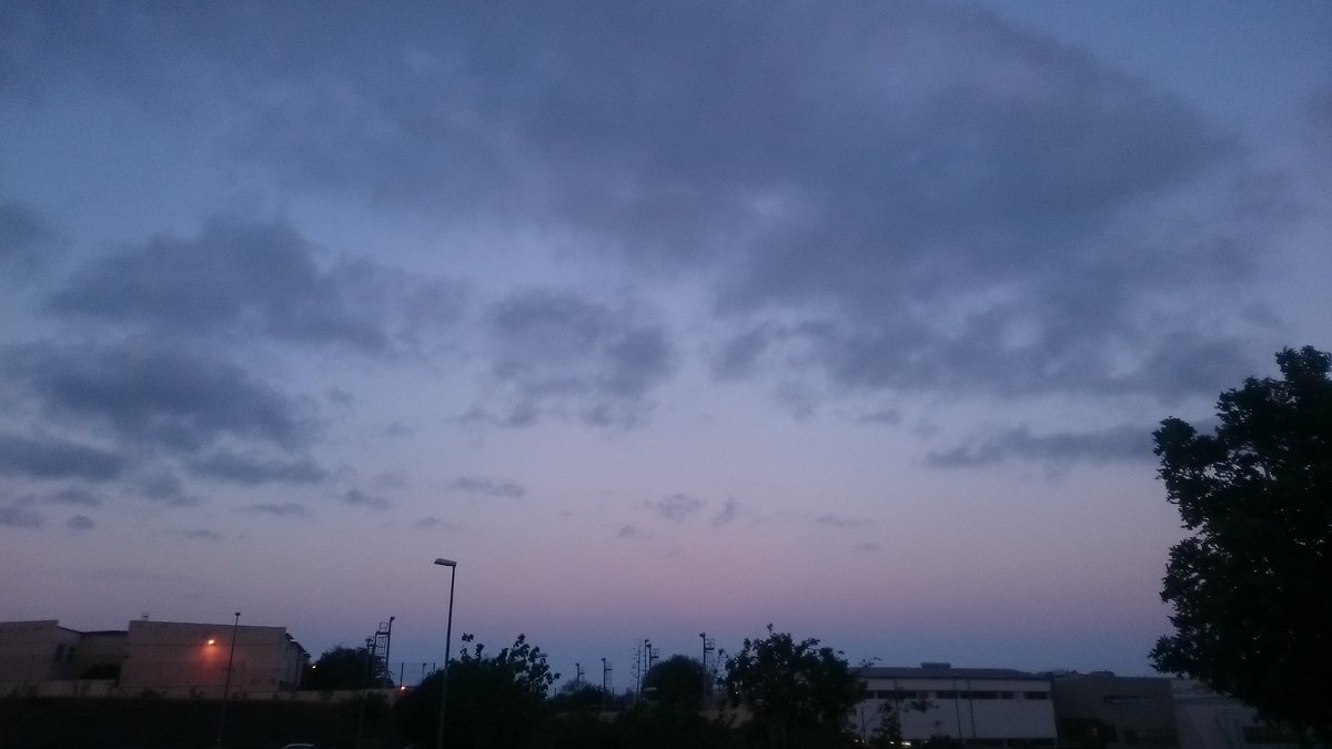 EdanaCuenta's tweet image. Y llevo ya 50 observaciones 😊.
@NASA @NASA_es
#citizenscience #globeobserver