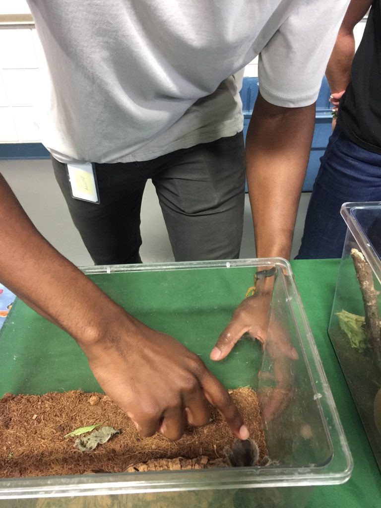 Alexander_AISD's tweet photo. Whoa! That Mr. Feathers is a brave soul!! Thanks @hmns for bringing out your friends! #STEAMItUp #AliefProud https://t.co/NybU5GqgC6