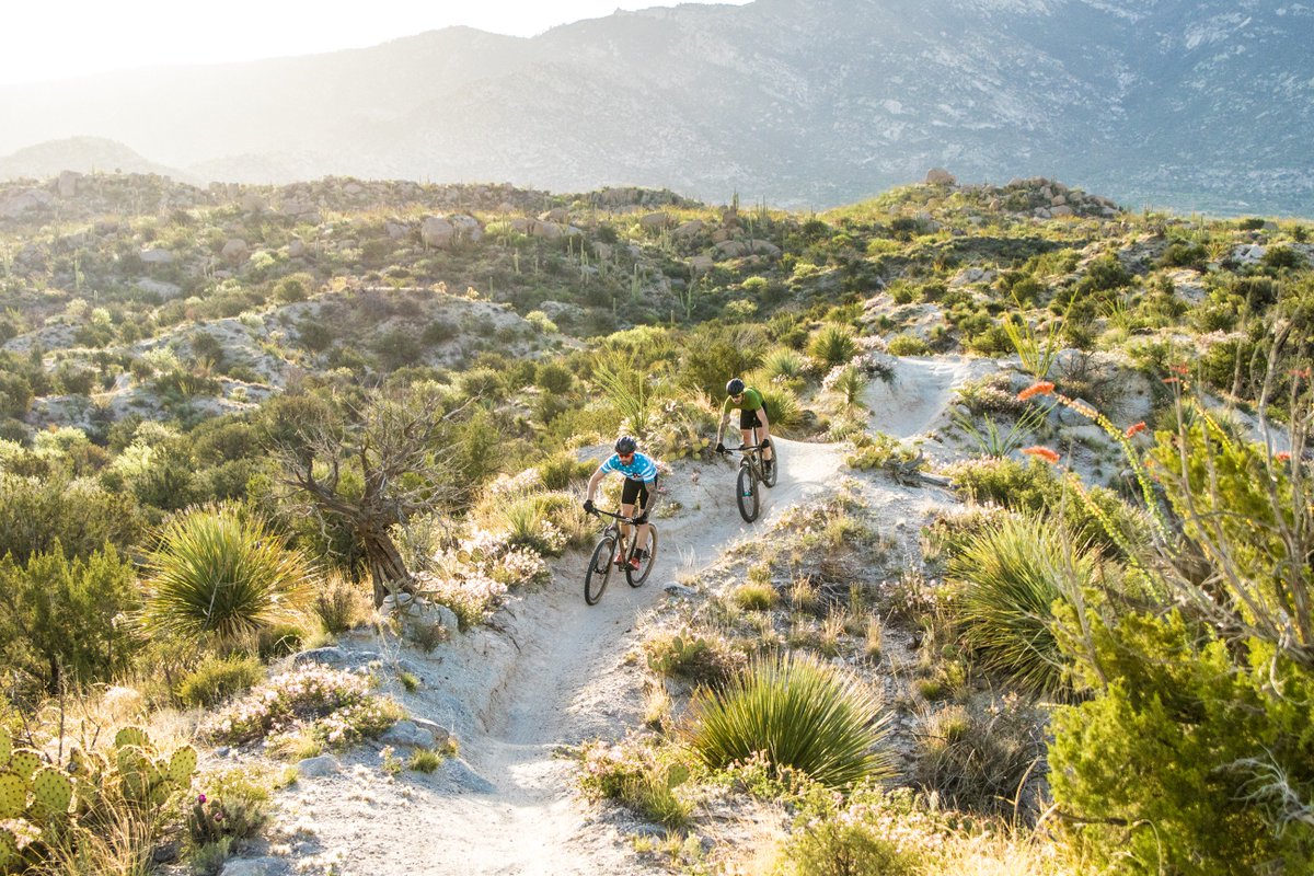 Here is a photo of me comparing all the things I like about living in Minnesota right now, to this.