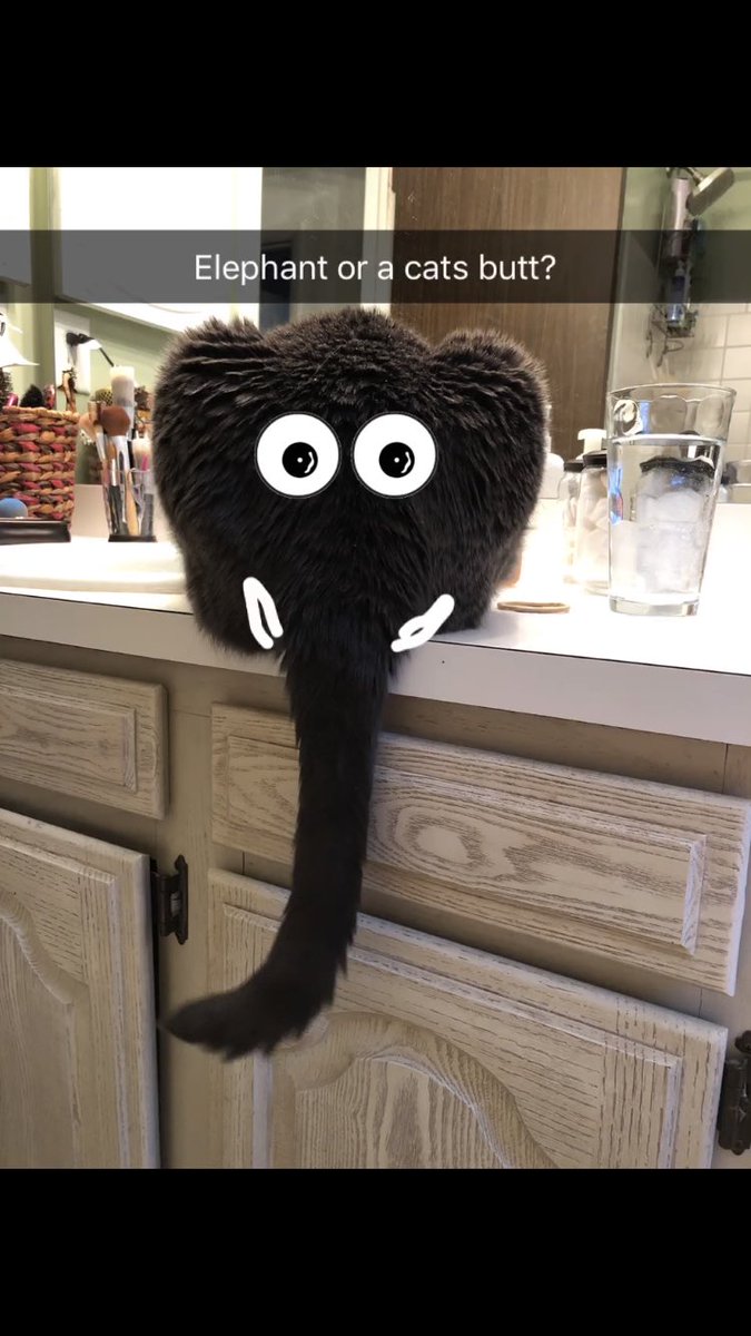 klattasaurusRex's tweet photo. Can you tell which? https://t.co/v92GZ8oH63