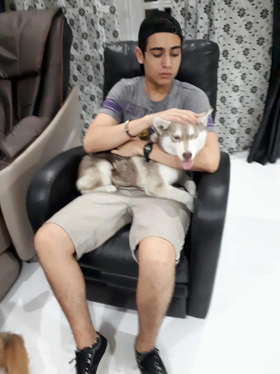 OFCMarcoCGallo's tweet photo. @itsmeMarcoG bonding moment with the dogs.. #MarcoGallo https://t.co/6p3bDC9jFb