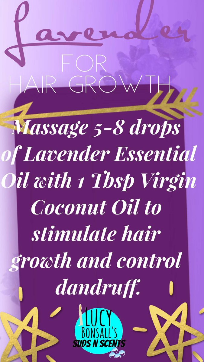 LucyOKScentClub's tweet photo. Did you know using Lavender Essential Oil promotes hair growth and controls pesky dandruff? If you're in the market for a GREAT Lavender oil visit https://t.co/c0zJ1g21FI #RT #EOs4theWin #CSClove Follow me for daily tips! https://t.co/IHAvVIUGFy