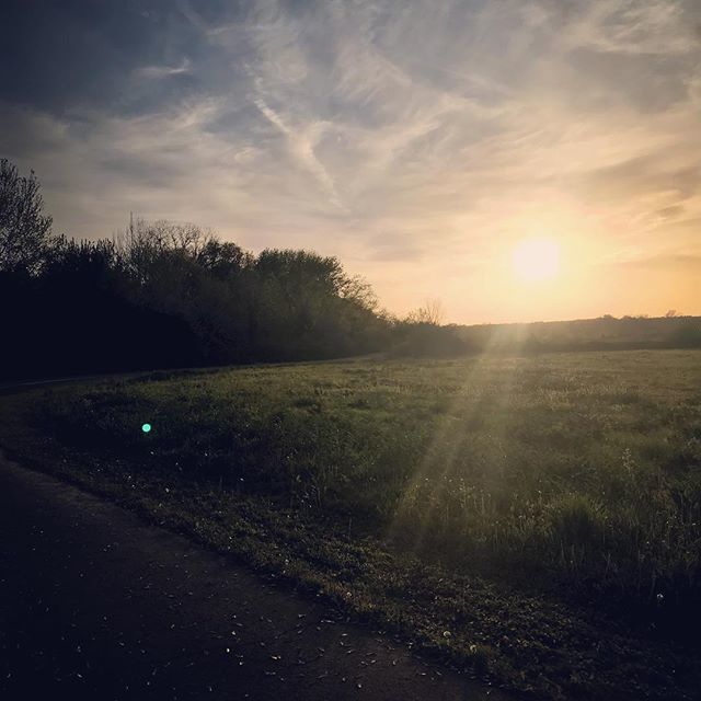 BikesBows's tweet photo. Running is nothing more than a series of arguments between the part of your brain that wants to stop and the part that wants to keep going.

#bikesandbows #running #getit #run #cantstopwontstop #adventure #adventureisoutthere #adventurethatislife #keepatit #sunsets INSTAGRAM! https://t.co/nVFf93BofE