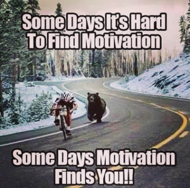 Yep that would do it! #motivation #thursdaythoughts #fitness #biking #running #physicaltherapy #bodybasicspt
