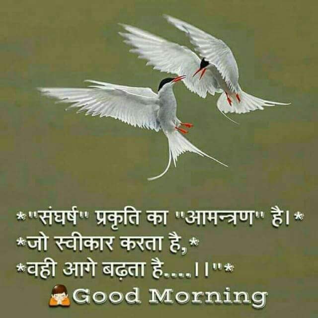 modanwal_jay's tweet image. Life ki ye ye line...