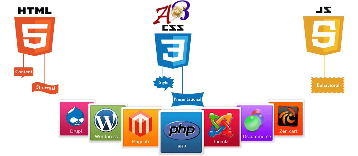 ABWebTech's tweet photo. #EcommerceDesignServices
ECommerce web design is our leading service, providing businesses nationwide with an expert web site and handcart solution. AB web Technologies prepared to assist your company find a solution for the needs that best suit you. @ https://t.co/x3t55pUfrd https://t.co/GS5z1C8wWV