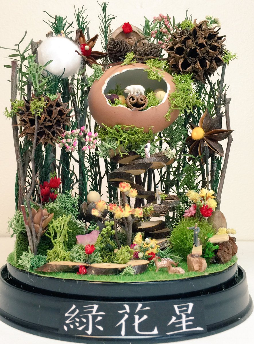 苔玉こけっぴの緑花星 No Twitter タマゴの家畜小屋 白い玉は真綿です ハコニワジオラマ ジオラマ ミニチュア ドールハウス フィギュア ハコニワ 箱庭 Diorama 鉄道模型 花材 花 フローリスト 花屋