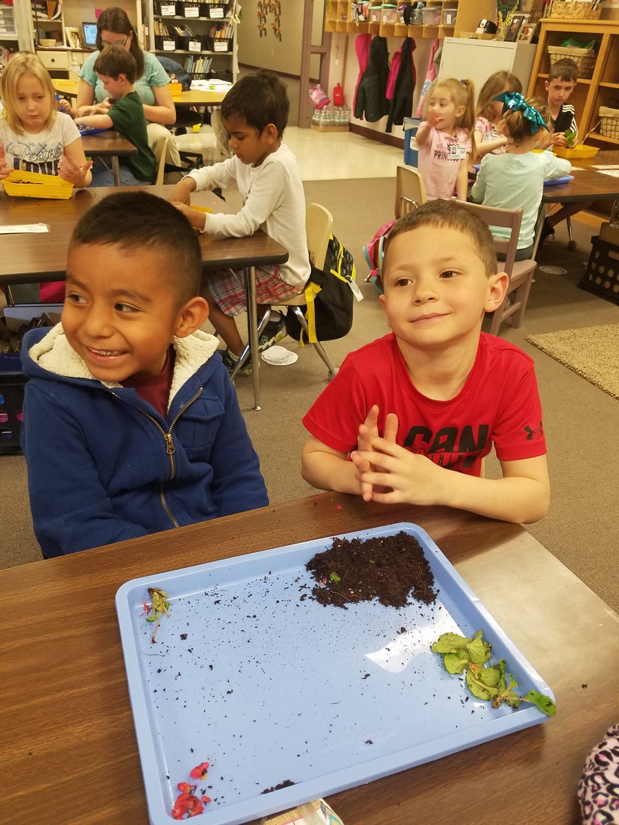 mponder1016's tweet photo. Ss enjoyed having future kindergarteners visit our classroom.  Ss taught their new friends about plants by dissecting a plant and sharing their own observations!#pesd32 #handsonlearning #learningisfun https://t.co/RwVU9ZWd6q