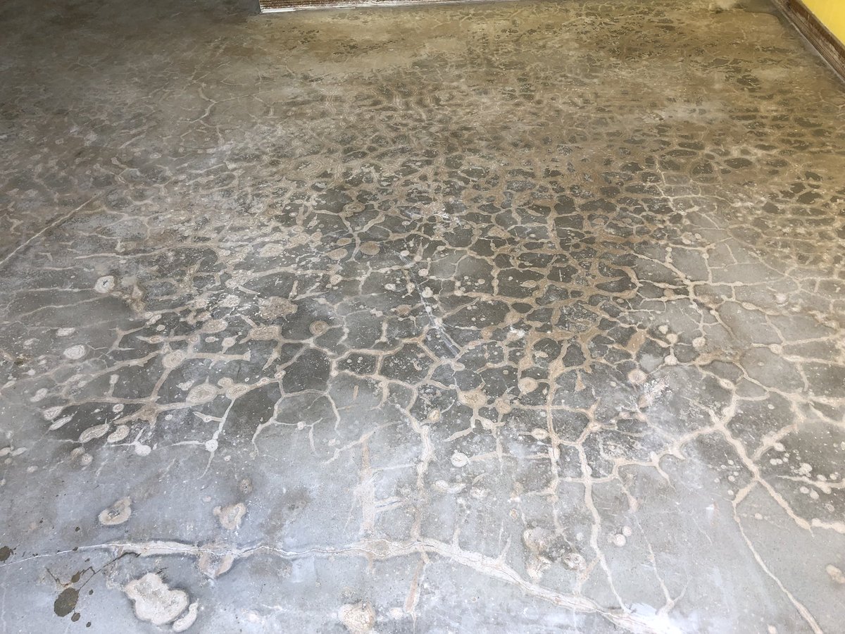 IntegrityStone1's tweet image. Concrete Polish, from beginning to end.