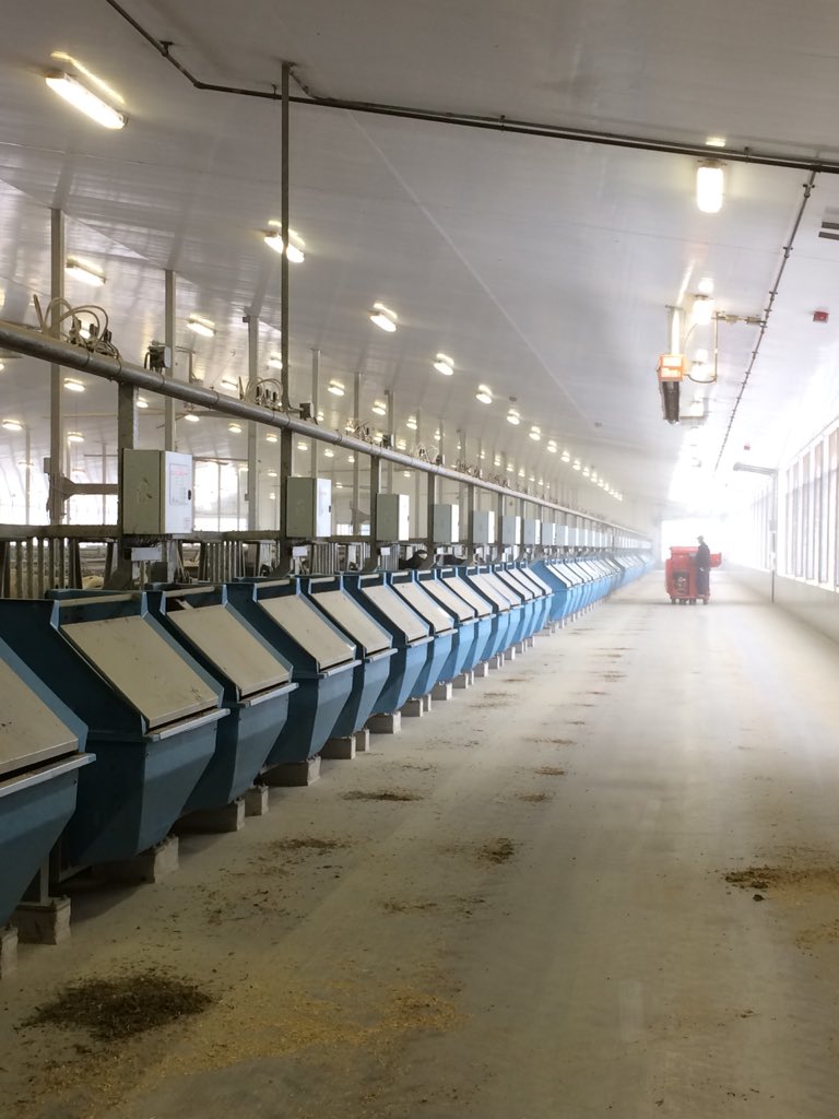 georgebrowne123's tweet photo. Our 3rd day is the #Canada2018 study tour, a slight change of scenery visiting the @Semex global headquarters, the University of Guelph ( @uofg ) Dairy Research Unit, Ontowa Farms and Walkerbrae Farms! #rhstudentlife @RHC_Agriculture @UCReaseheath @semexUK https://t.co/v908wpWP8H