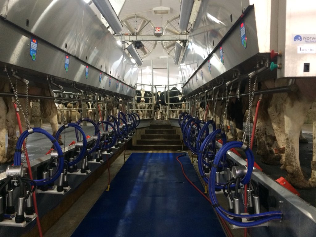 georgebrowne123's tweet photo. Our 3rd day is the #Canada2018 study tour, a slight change of scenery visiting the @Semex global headquarters, the University of Guelph ( @uofg ) Dairy Research Unit, Ontowa Farms and Walkerbrae Farms! #rhstudentlife @RHC_Agriculture @UCReaseheath @semexUK https://t.co/v908wpWP8H