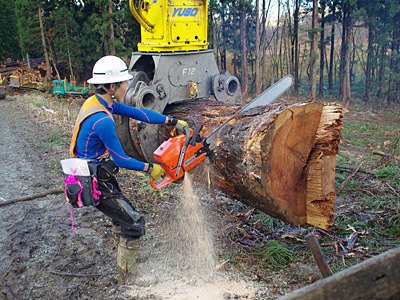 13日の金曜日ということで、世界最大のチェーンソーと言われる