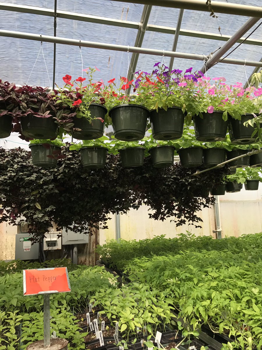 monroecoffa's tweet photo. Come check us out this year! https://t.co/MGaF6qg8if