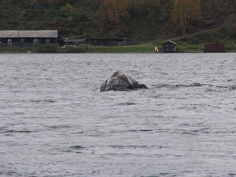 Зав лабораторий моделирования поверхностных вод Института водных проблем РАН, д.т.н. Михаил Болгов о том, что принятое на 3 года постановление, разрешающее в маловодье срабатывать Байкал ниже 456 метров ТО, необходимо сделать постоянным.

kislorod.life/question_answe…