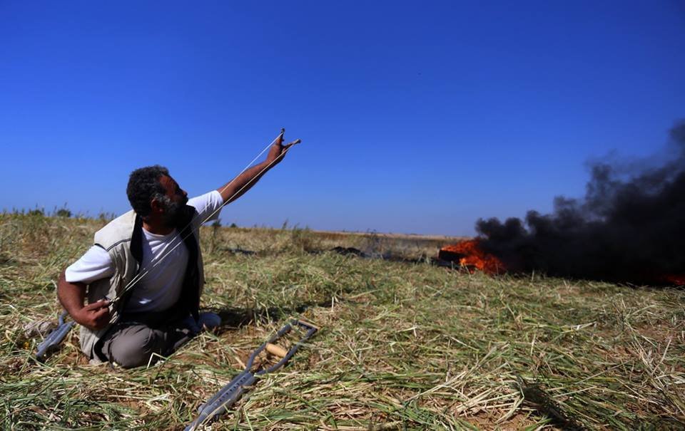 جِبالُ الأرضِ تعرِفُنا جِبالاً
كُأنا قدْ خُلقنا مِن حديدِ

رَضعنا الموتَ مِن ثدي المآسي
وَقُلنا لِلردى : هلْ مِنْ مزيدِ ؟!......#جمعة_المولوتوف

#غزتي 💚
#قروب_احرار_فلسطين 
#نبض______فلسطينية ✌⁦🇵🇸⁩
