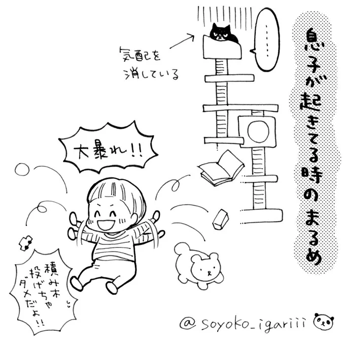 1歳児はとにかく元気

#猫とむすこ  その7 
