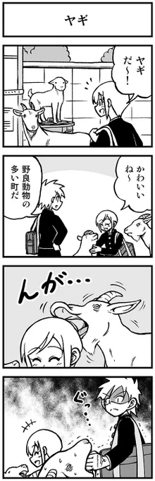 かわいい矢野くん【17-2】 #渡りに船4コマ　#かわいい矢野くん 