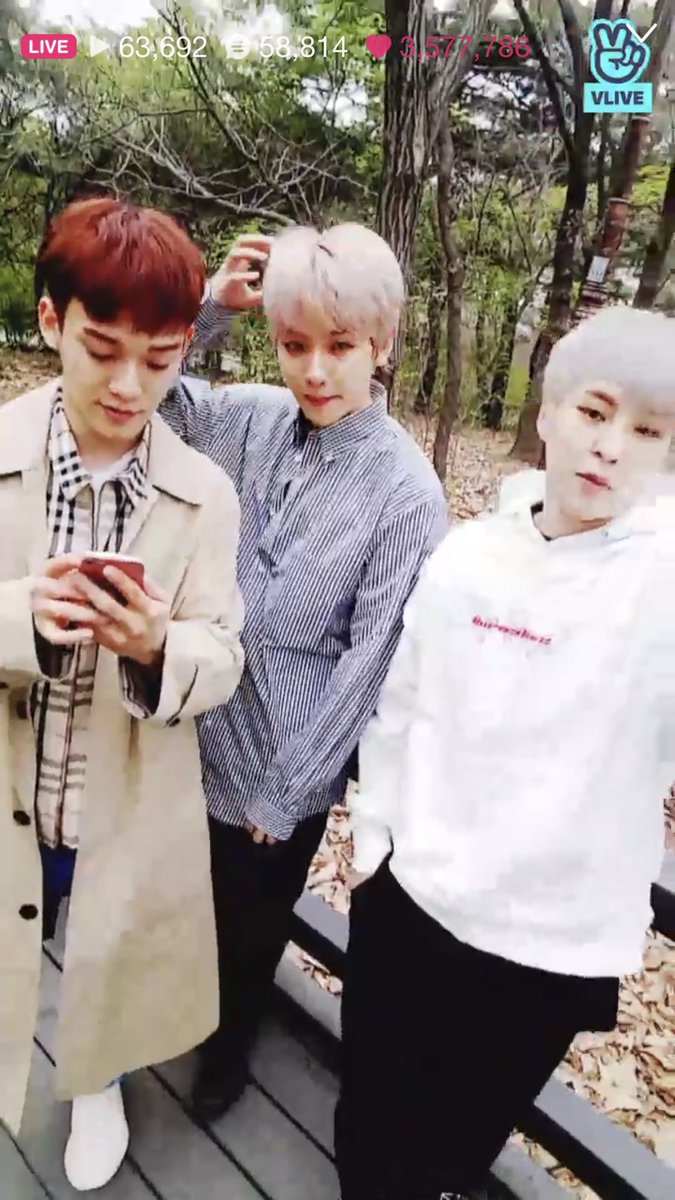 everlasting506's tweet photo. 3 squirrels strolling hehe such a cute sight 😍 https://t.co/UfeyzDN9Yx