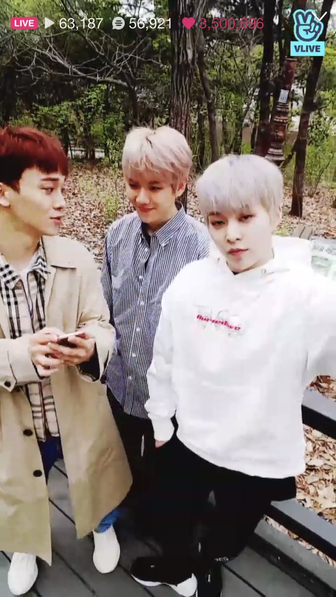 everlasting506's tweet photo. 3 squirrels strolling hehe such a cute sight 😍 https://t.co/UfeyzDN9Yx
