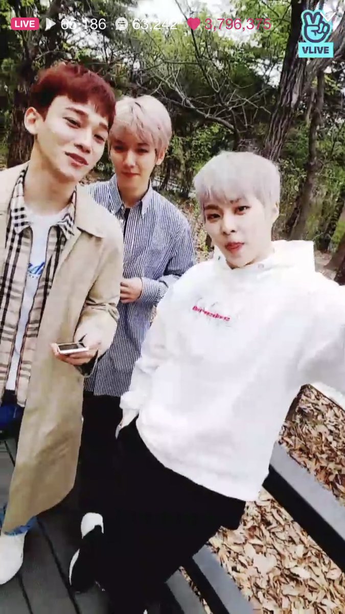 everlasting506's tweet photo. 3 squirrels strolling hehe such a cute sight 😍 https://t.co/UfeyzDN9Yx