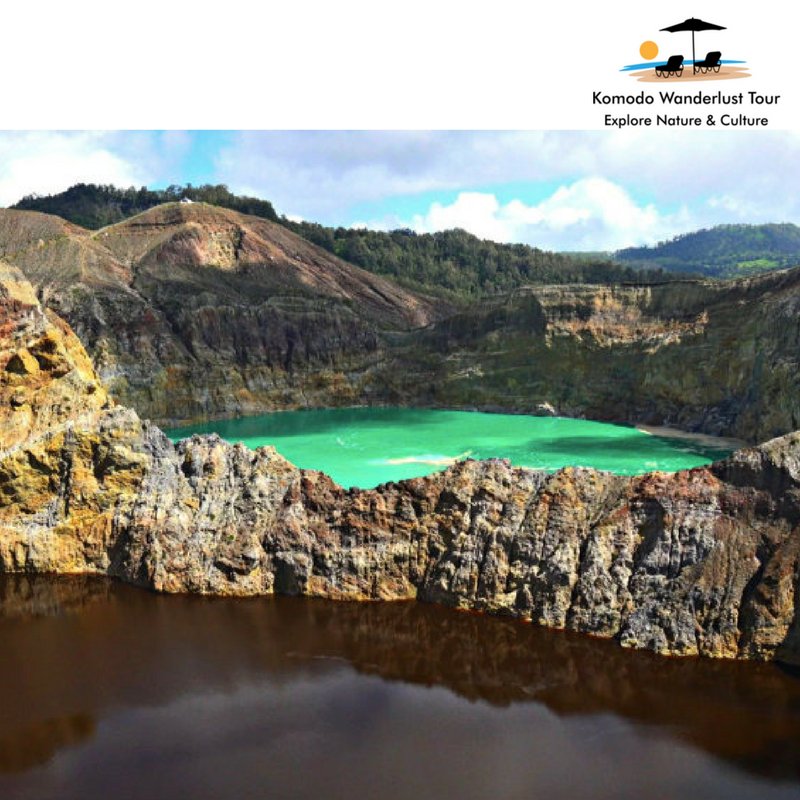 komodowanderlus's tweet photo. KELIMUTU TOUR! Flores Tour!

✅ 2D/1N Trip 
✅Day 1: Bali-Maumere-Moni (L.D)
✅Day 2: Moni-Kelimutu-Ende (B.L.D)

Enjoy the sunrise, nice view of mount Kelimutu and hear a variety sound of birds.

Visit: https://t.co/cE092mSnPj

#TriptoKomodo #KomodoTour #Komodo #KelimutuTour https://t.co/0mDX9opXlA