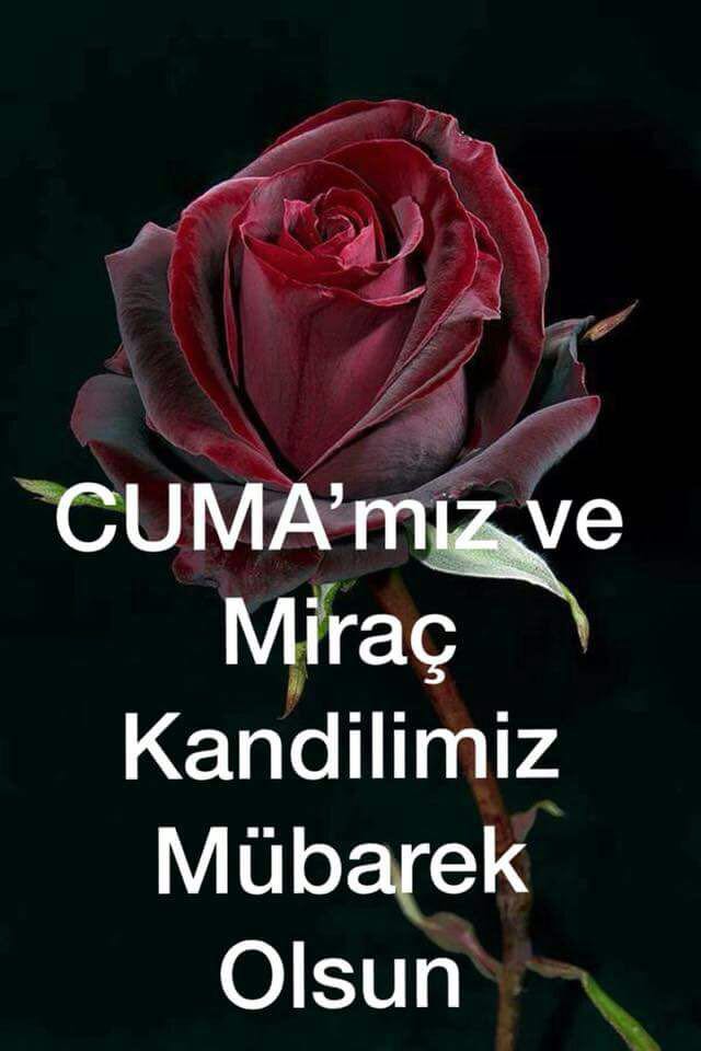 HikmetYakin's tweet photo. Elhamdülillah uyandık Abdest aldık nurlara boyandık #Allahın huzurunda Rabbime yalvardık Yarab affet bizi #Bağışla suçlarımızı Cennete koy Cümlemizi temizle kirlerimizi #Hacdan döner gimi Anadan #Doğar gibi Cennete giren gibi Amin Ecmain #Cumamız ve #miracımız mubarek olsun 🌿🌷 https://t.co/QjZnbGPdQ5